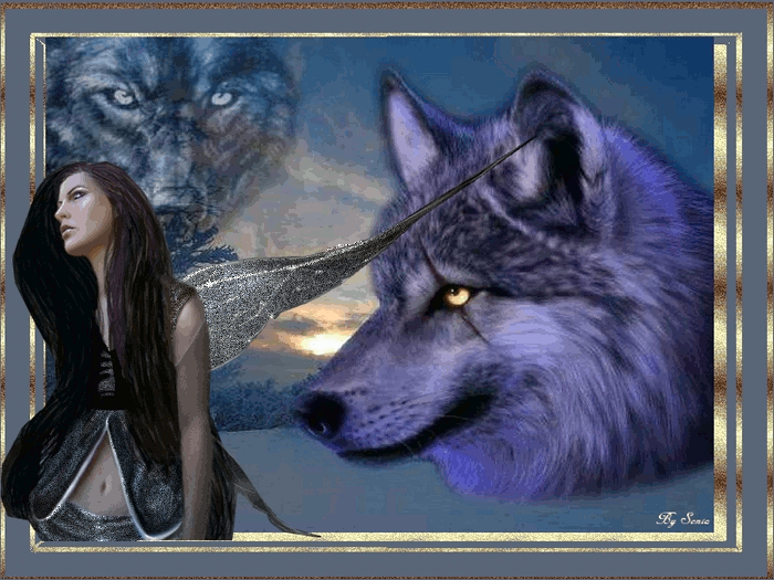 wolf_war
