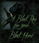 Black_Rose_HOVW
