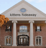 kittenshideaway