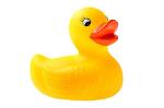 RedHeadedDucky