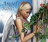 Angel_Rosa