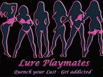 Lure_Playmates