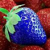 strawberry_bl