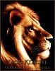Lion_Knight_G