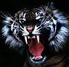 Master_Tiger