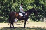 horserider1986