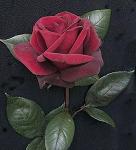 Realm_ofthe_Rose